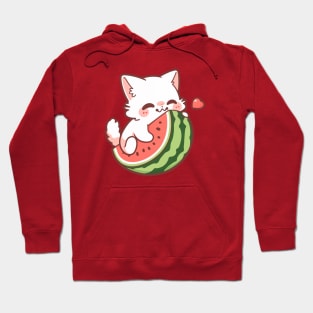 Funny and Cute Cartoon Cat on A Watermelon Hoodie